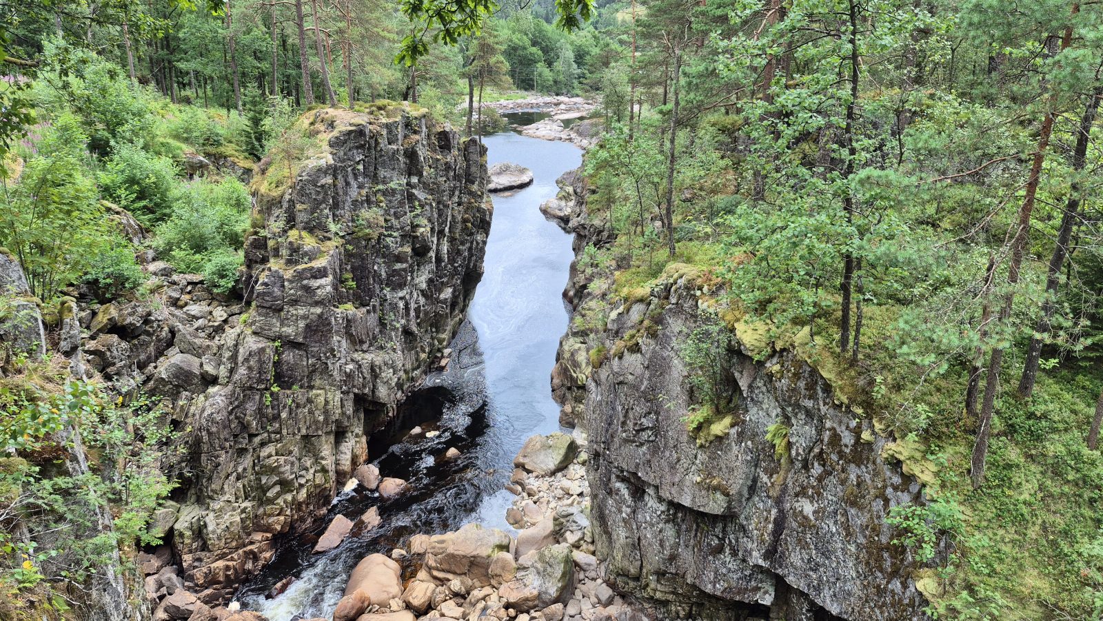 Det trange juvet nedenfor Kvåsfossen, med elva Lygna som renner mellom loddrette bergvegger kledd i furuskog