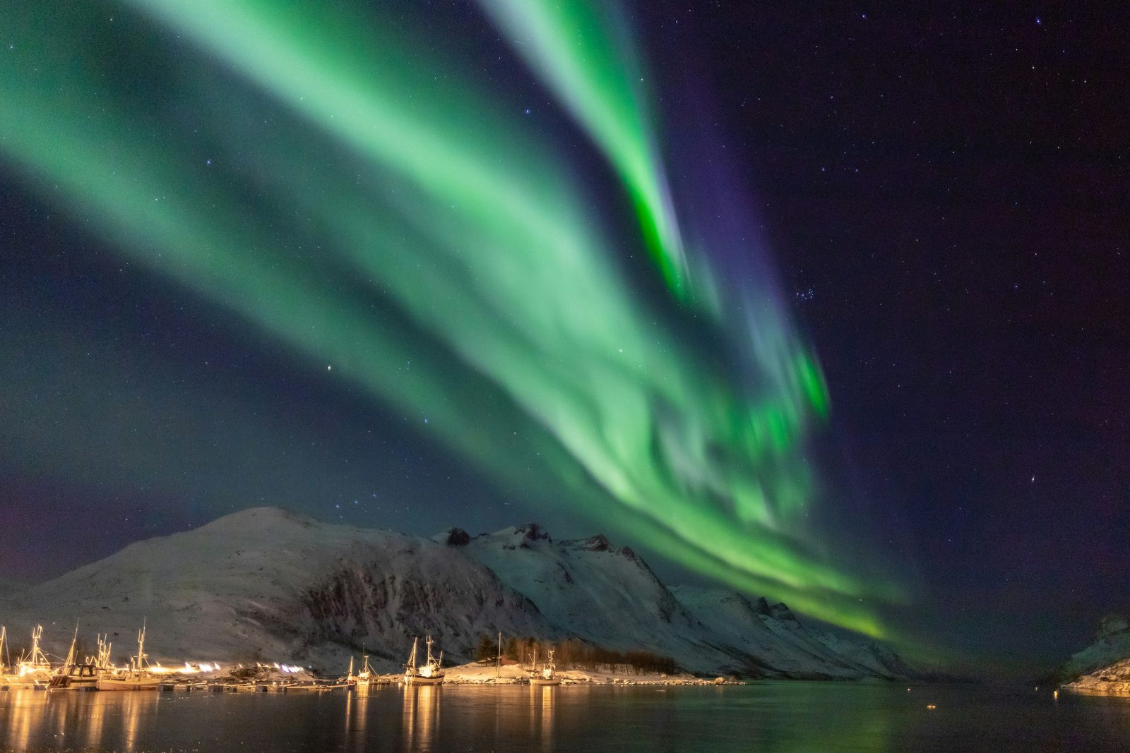 Kraftig grønt nordlys som bølger over en opplyst havn og snøkledde fjell i Nord-Norge