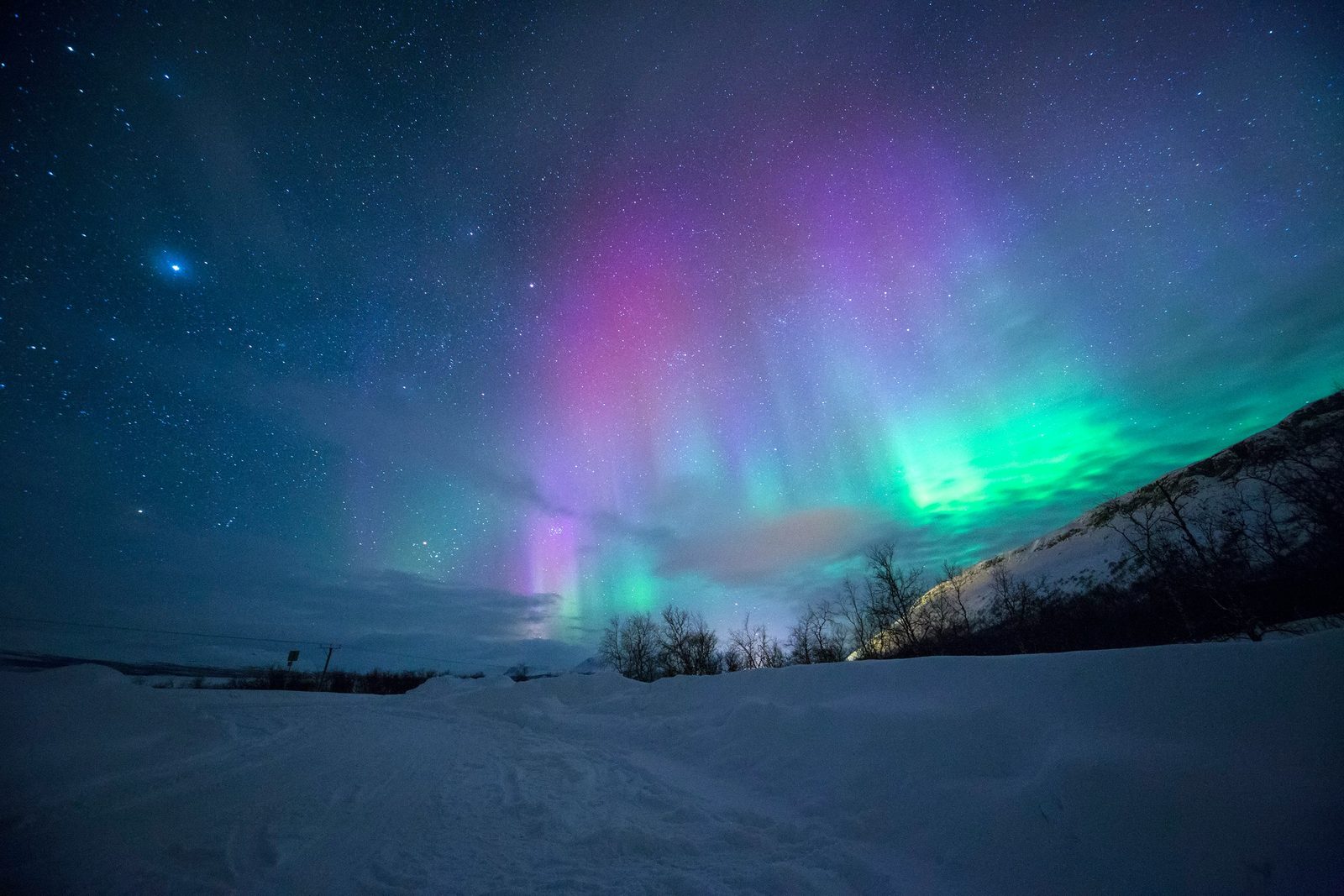 Nordlys i grønt, rosa og fiolett over en snødekt slette med stjernehimmel