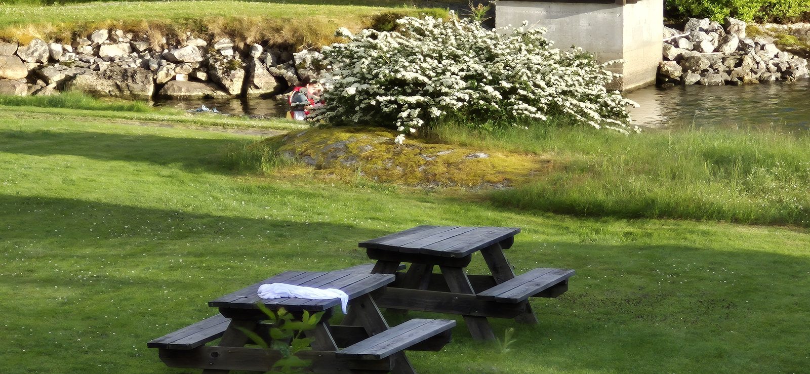 Piknikbord på gressplenen i hagen ved Revsnes Hotell, med blomstrende busker mot vannet