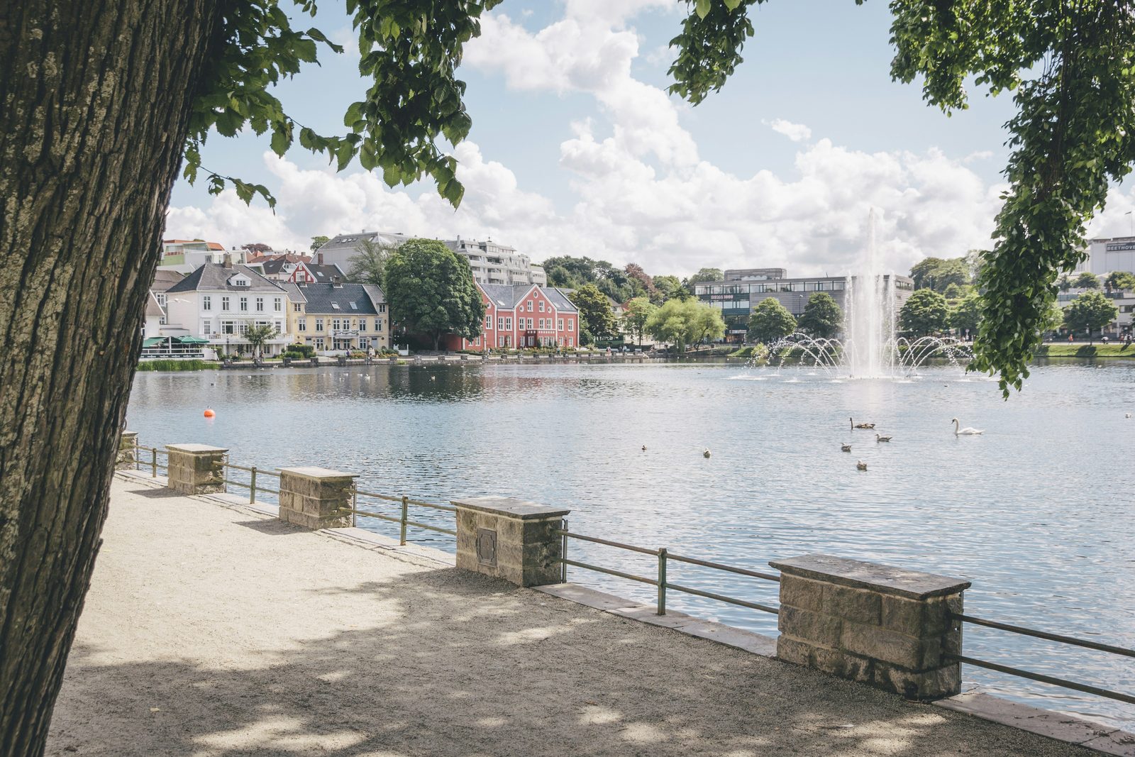 Byparken ved Breiavatnet i Stavanger sentrum, med fontene, svaner og trær langs vannet
